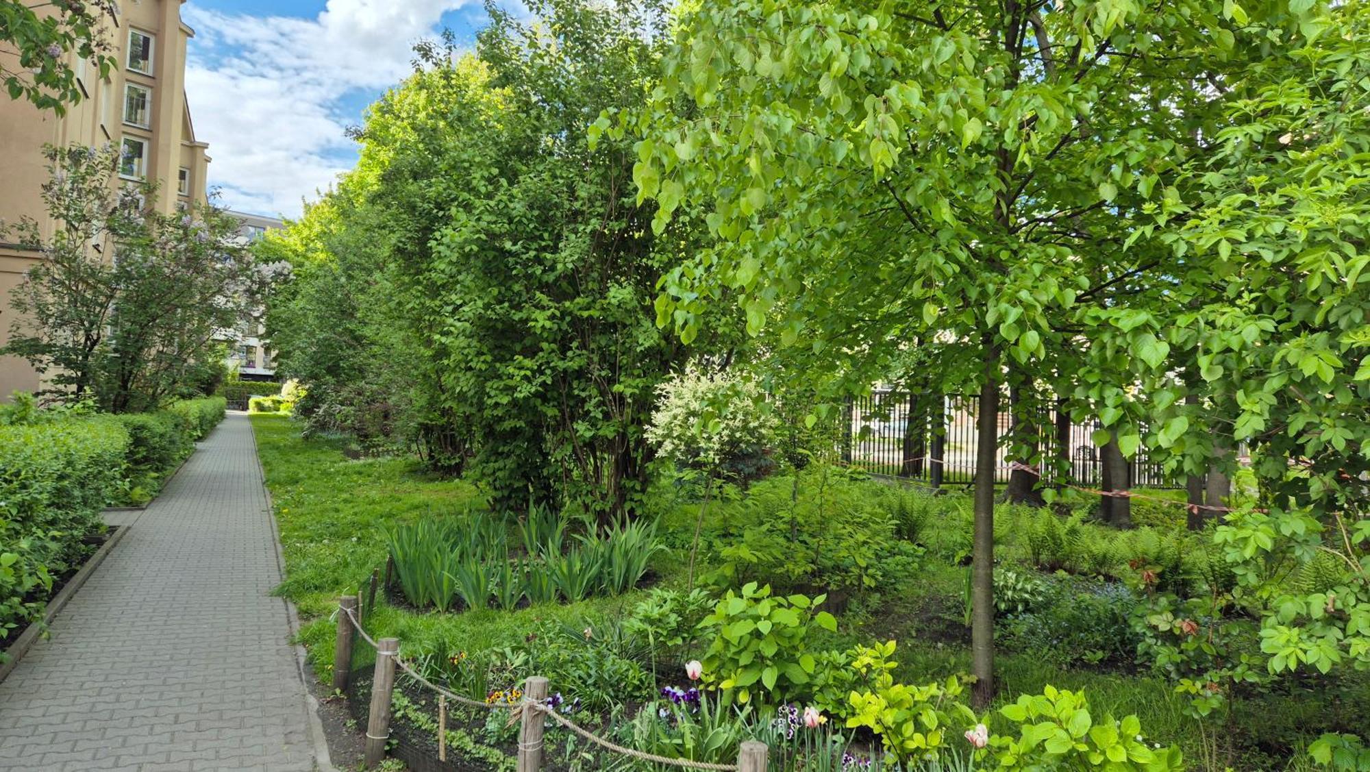 Apartament Daszynskiego Krakow Ngoại thất bức ảnh
